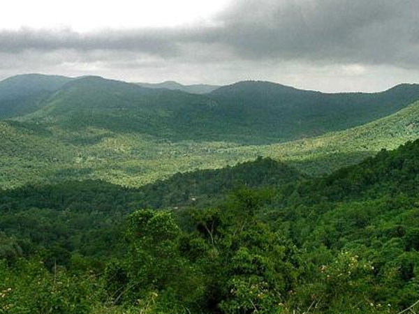 வனத்துறையினர் அறிவுறுத்தல்