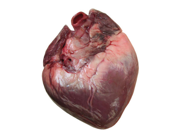 வெற்றிகரமான இதயம்: