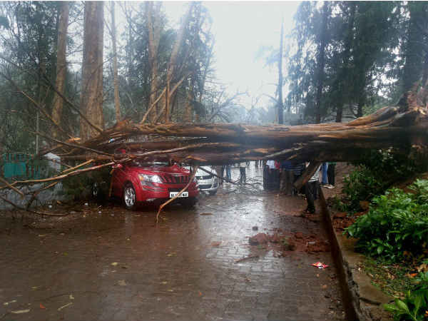 உதகையில் கனமழை உதகையில் கனமழை