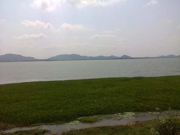 வீராணம் ஏரிக்கு தண்ணீர்