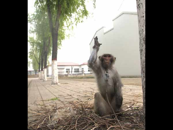 ஸ்பெஷல் ட்ரெயினிங்