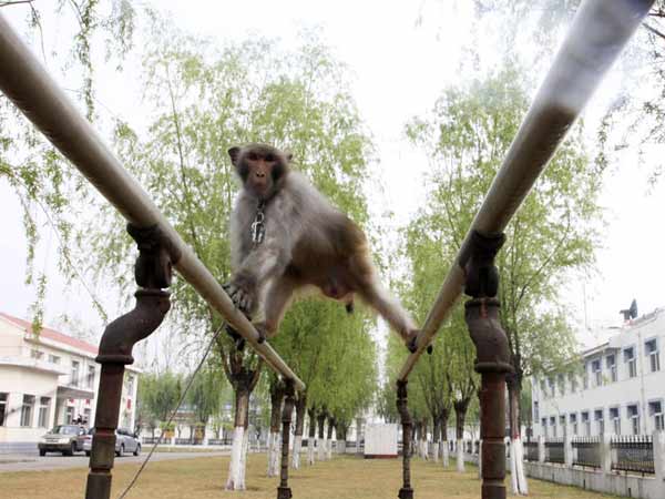 சிறப்பு பயிற்சிகள்