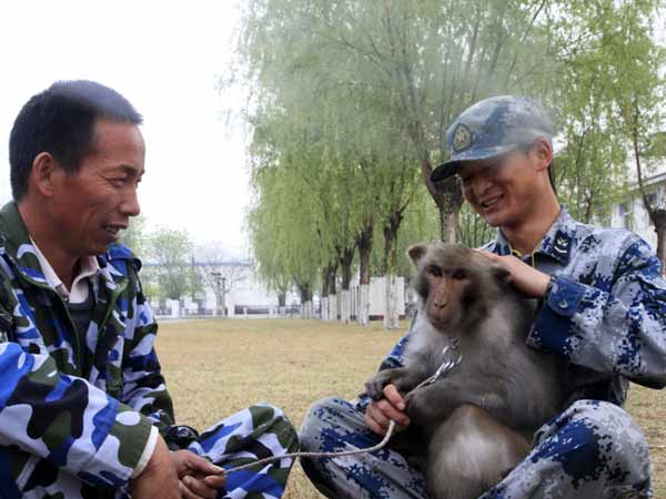 விரட்டி அடிப்பது எப்படி?