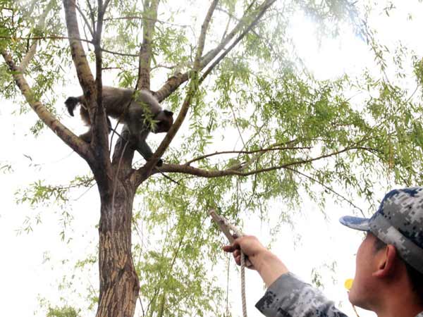 முதலில் சீன வீரர்களுக்கு..