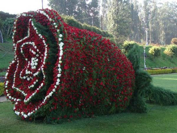 சுற்றுலா பயணிகள் வருகை