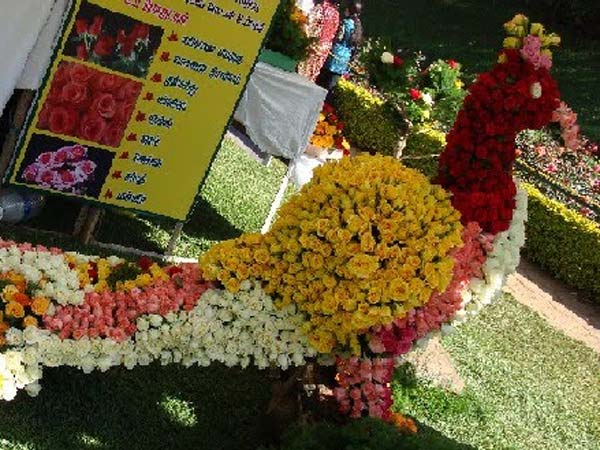 பலவித அலங்காரங்கள்