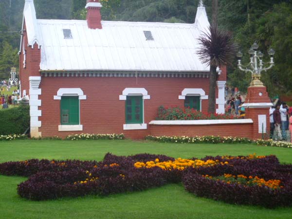 நாய்கண்காட்சி