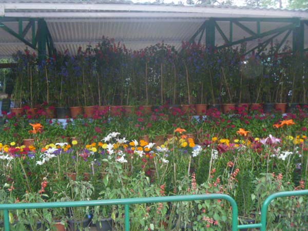 சுற்றுலா பயணிகள் உற்சாகம்