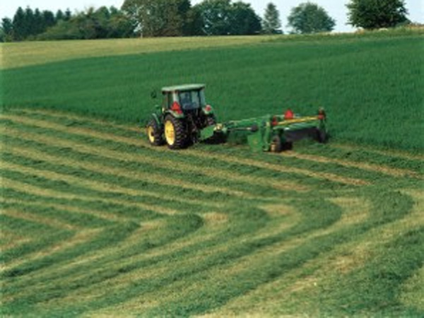 விவசாயம் பாதிப்பு...