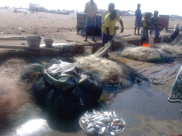 மீன்வளம் பாதிக்கும்