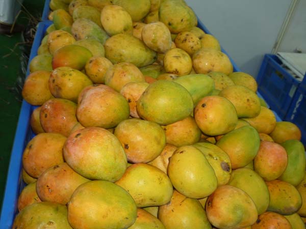 மாதவிடாய் காலத்தில் மாதவிடாய் காலத்தில்