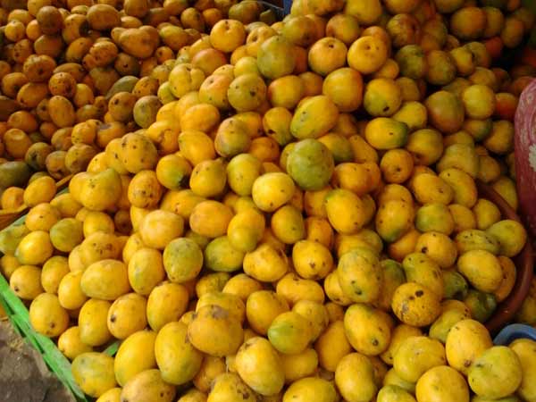 அதிரடி சோதனை: