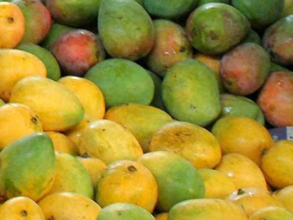 குடோன்களில் சோதனை: