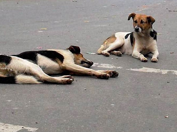 விரைவில் நடவடிக்கை...