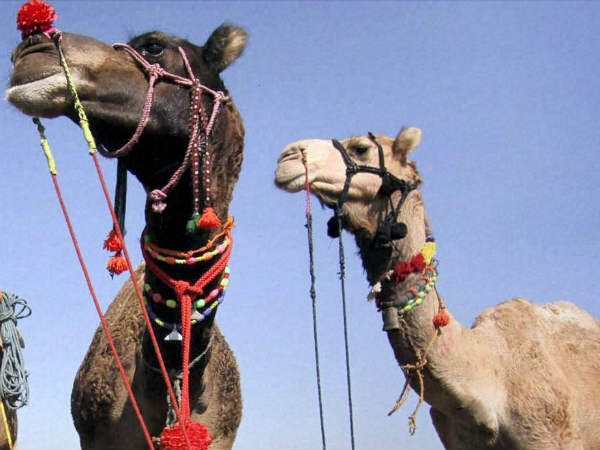 நெருங்கிய தொடர்பு: