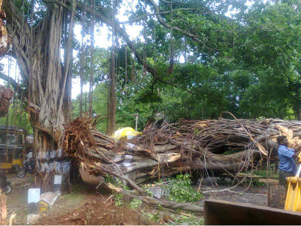 போக்குவரத்து பாதிப்பு