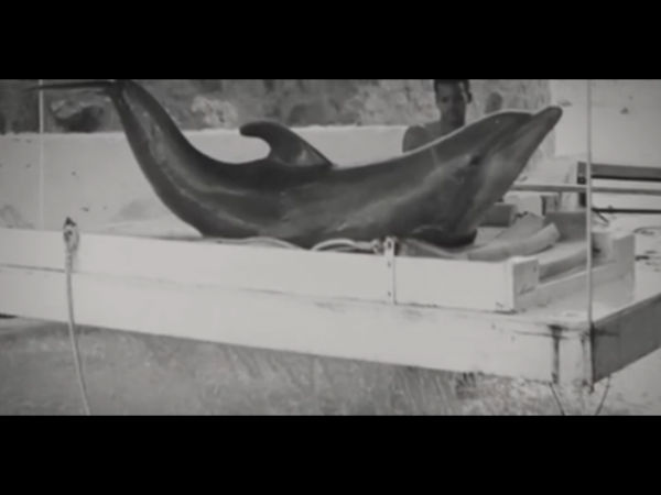 அசவுகரியம் எதுவும் இல்லை: