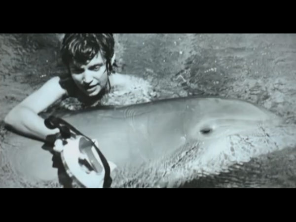 விருப்பத்திற்கு உடன்பட்டேன்: