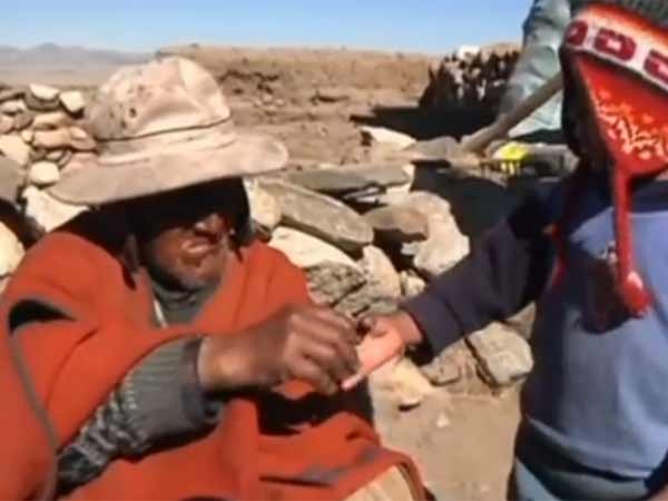 ஜமாரா இந்திய வம்சாவளி: