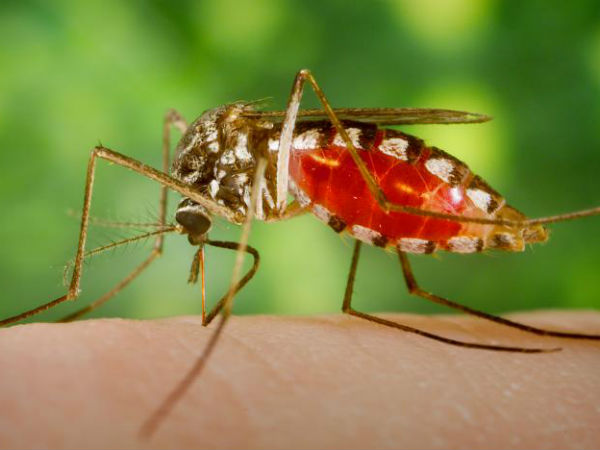 புதிய முறை...