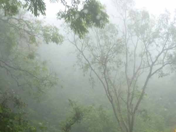 மிதமான மழை மிதமான மழை