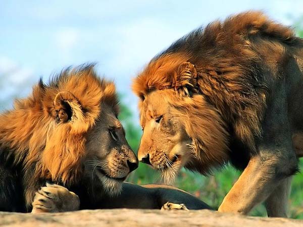 மரணத்தை தடுக்க முடியுமா?