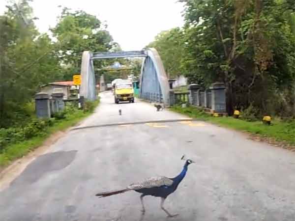 சோதனைச்சாவடி தேவை சோதனைச்சாவடி தேவை