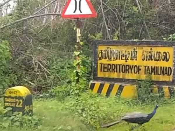 காரணம் என்ன? காரணம் என்ன?