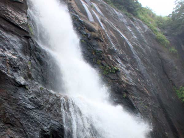 சுற்றுலாப் பயணிகள் ஏமாற்றம்