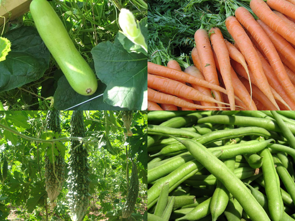 காய்கறி, பழங்கள் விலை உயர்வு