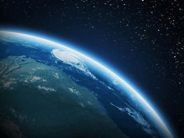 உயிர்வாழும் அமைப்பு: