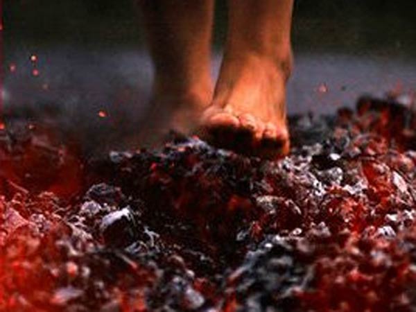 இதிலும் காப்பியா..? 