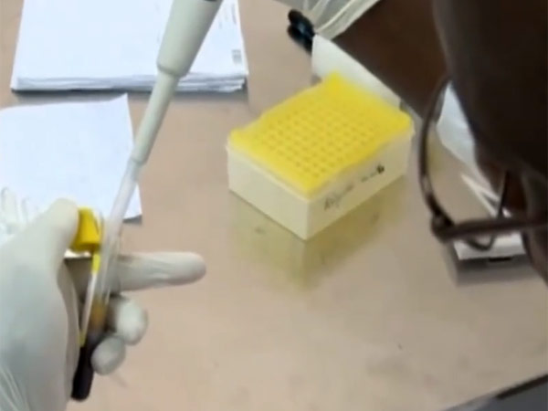 தடுப்பு மருந்து இல்லை