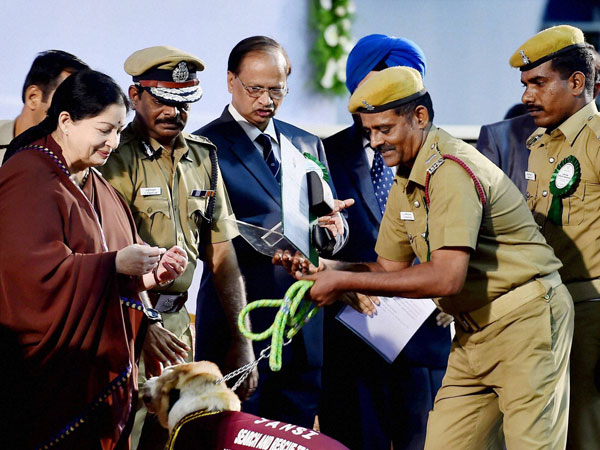 மோப்ப நாய்களுக்கு நன்றி