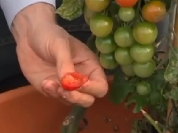 24 மணி நேர சேனல்...