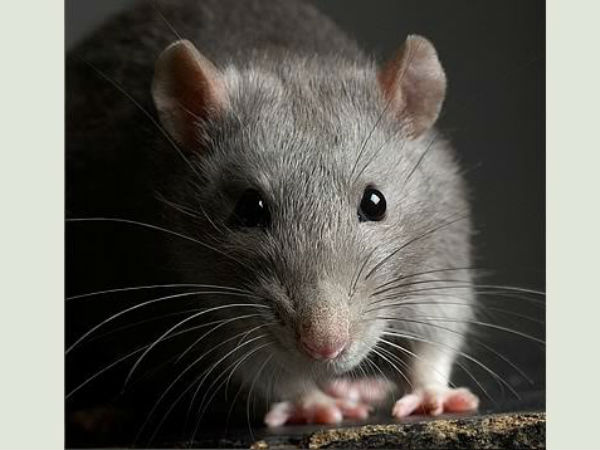 இதிலும் ஊழல்.... இதிலும் ஊழல்....