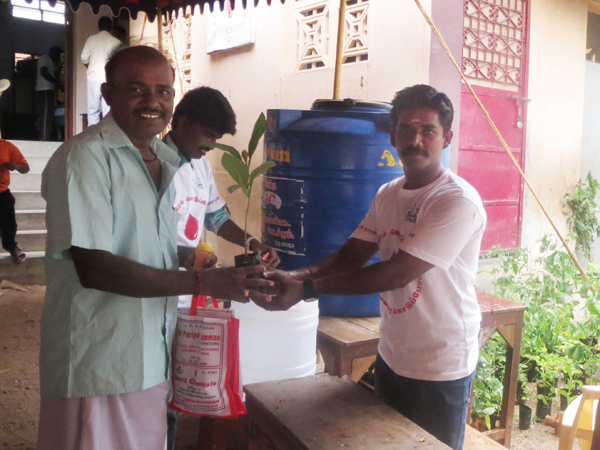 மரக்கன்று பரிசு