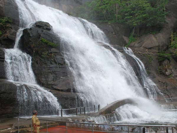 அருவிகளில் பெருகிய தண்ணீர்