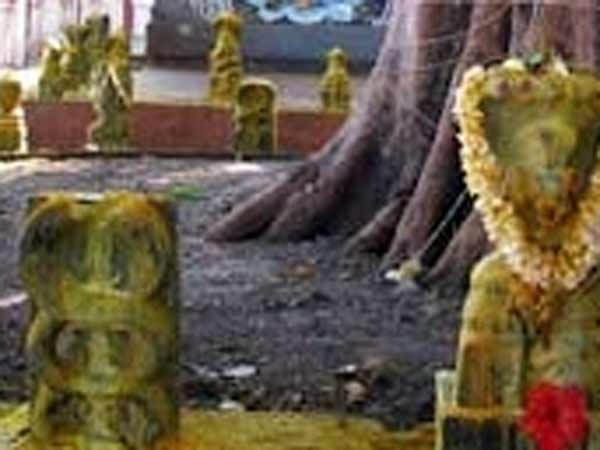 சர்ப்ப வழிபாடு