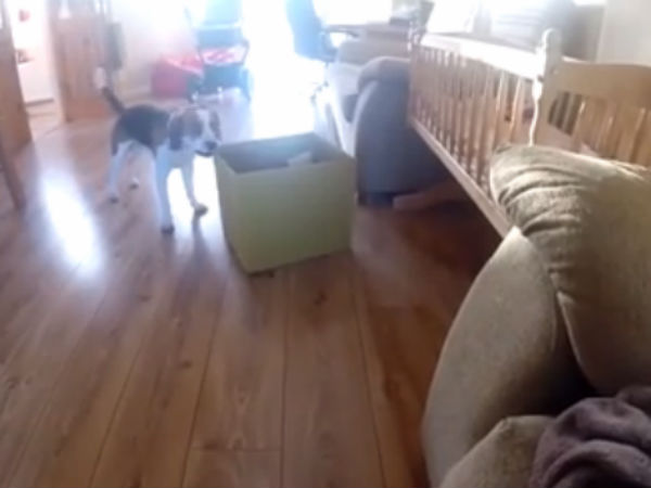 சமாதானமாகவில்லை...