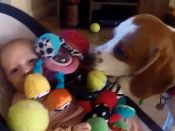 7 லட்சம் ரசிகர்கள்...