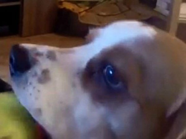 நண்பேண்டா....