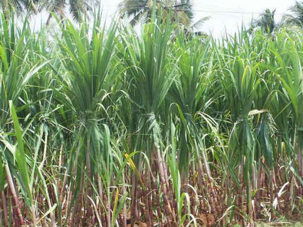 கிணற்றை ஆழப்படுத்த கடனுதவி: