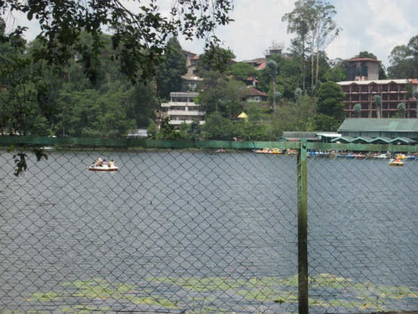 விஐபிக்கள்...