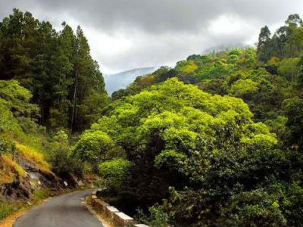 கொசுத் தொல்லை...