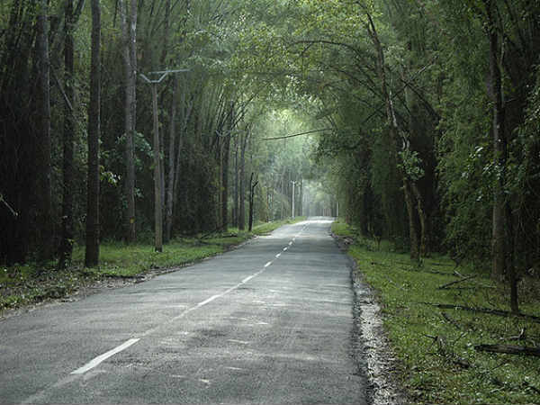 வயநாட்டில் பருவ மழை