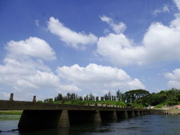 பீதியில் கிராம மக்கள்