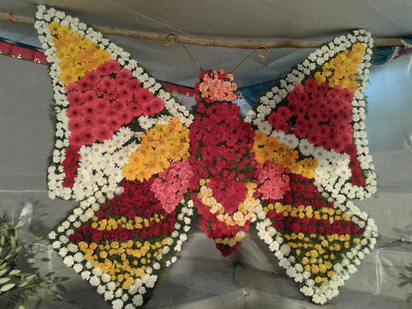 நாய்கண்காட்சி 