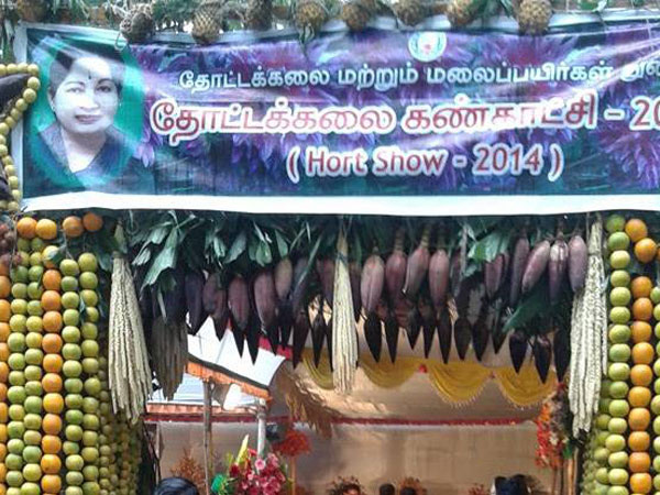 மூன்று நாட்கள் மலர்கண்காட்சி 