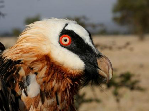 பட்டியல் காட்டும் உண்மை: